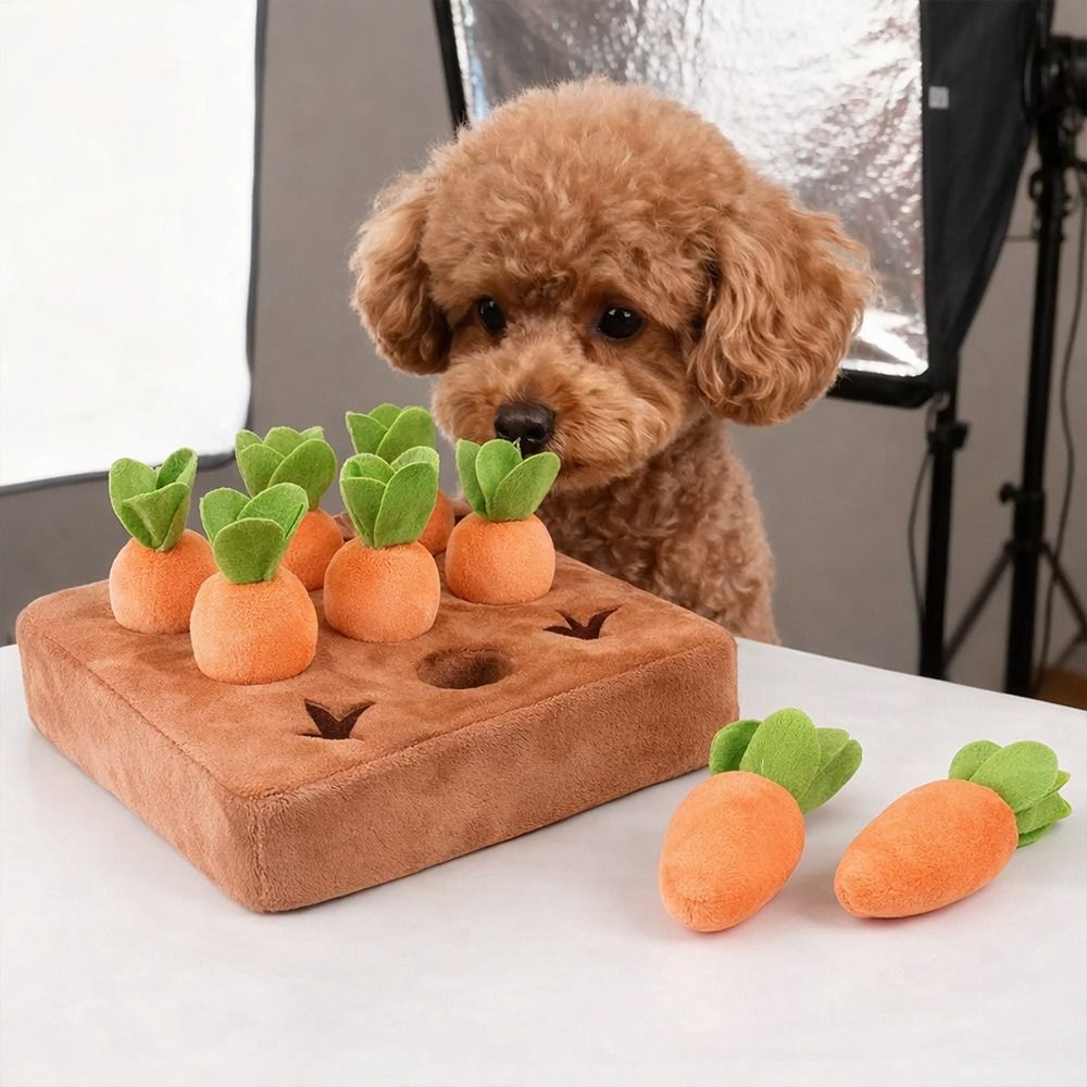 Stressabbau-Karotten-Schnüffel – Dog Puzzle Feeder Toy Bewertung und Preis