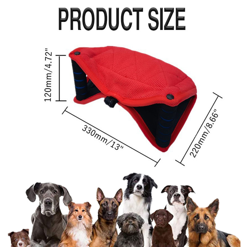 Hundebisskissen aus hochwertig – Interactive Squeaky Plush Dog Toy Bewertung und Preis