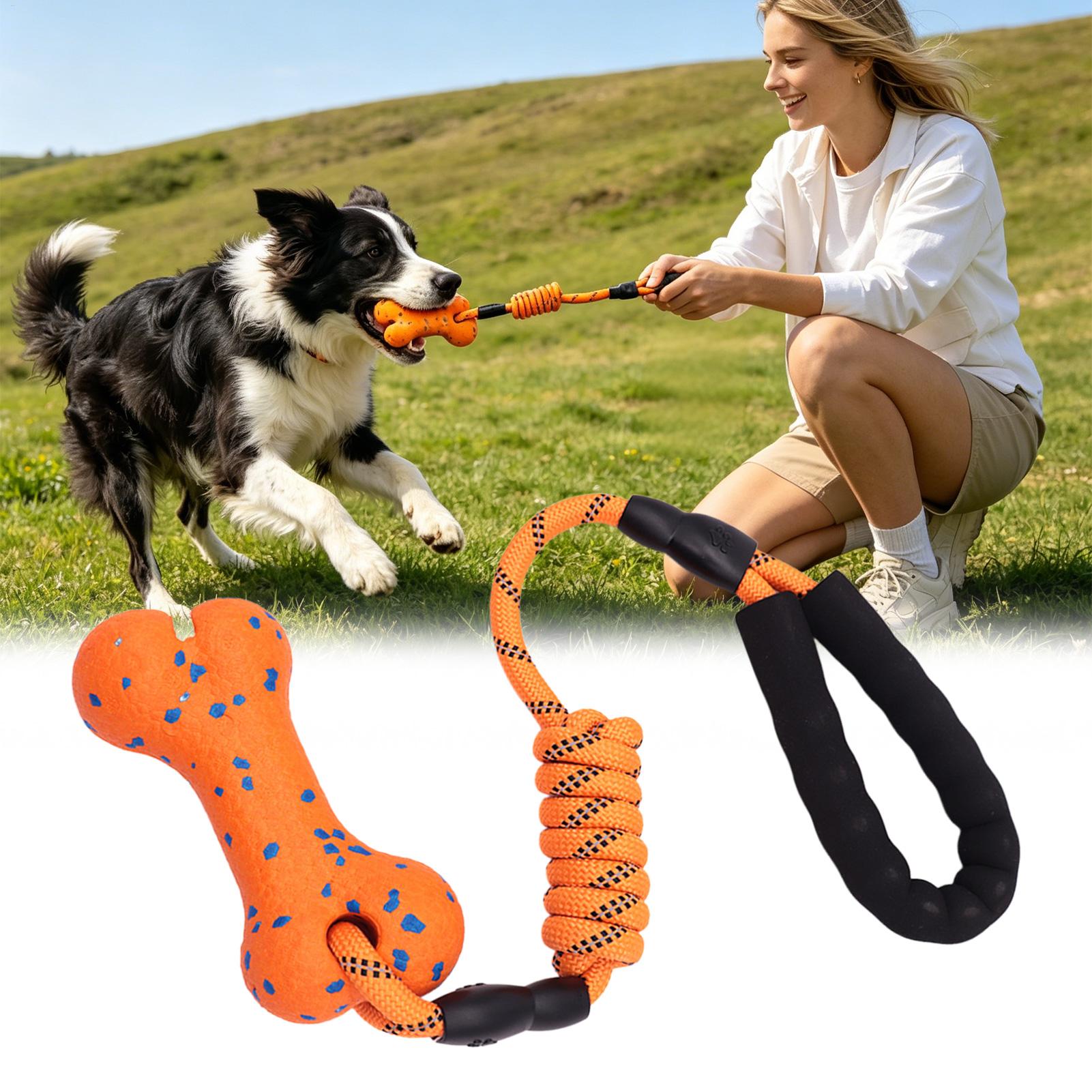 Seilspielzeug Beißknochen für  – Dog Rope Toy Aggressive Chewers Bewertung und Preis