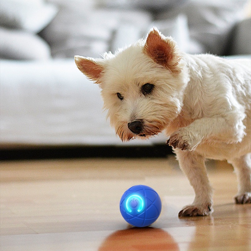 Intelligenter Hundespielzeugba – Suction Cup Dog Tug Toy Bewertung und Preis