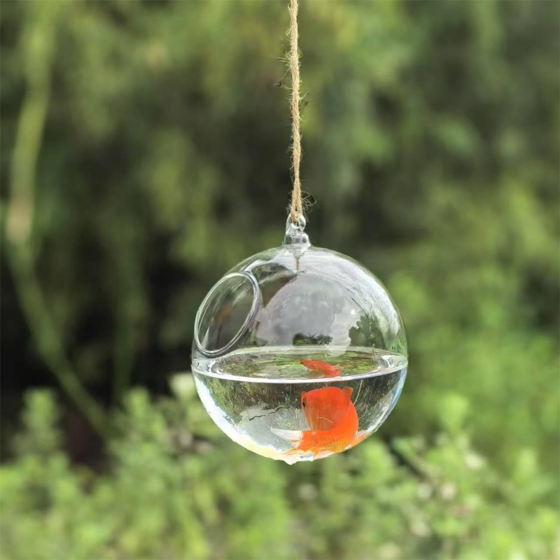 Kleiner Verpackungsdurchmesser – Aquarium Bewertung und Preis