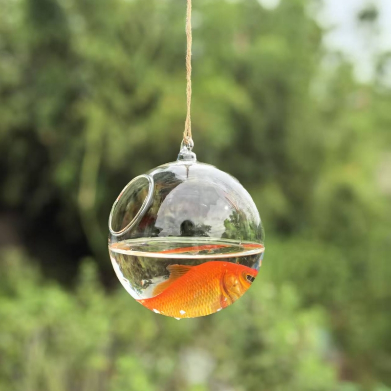 Kleiner Verpackungsdurchmesser – Aquarium Bewertung und Preis