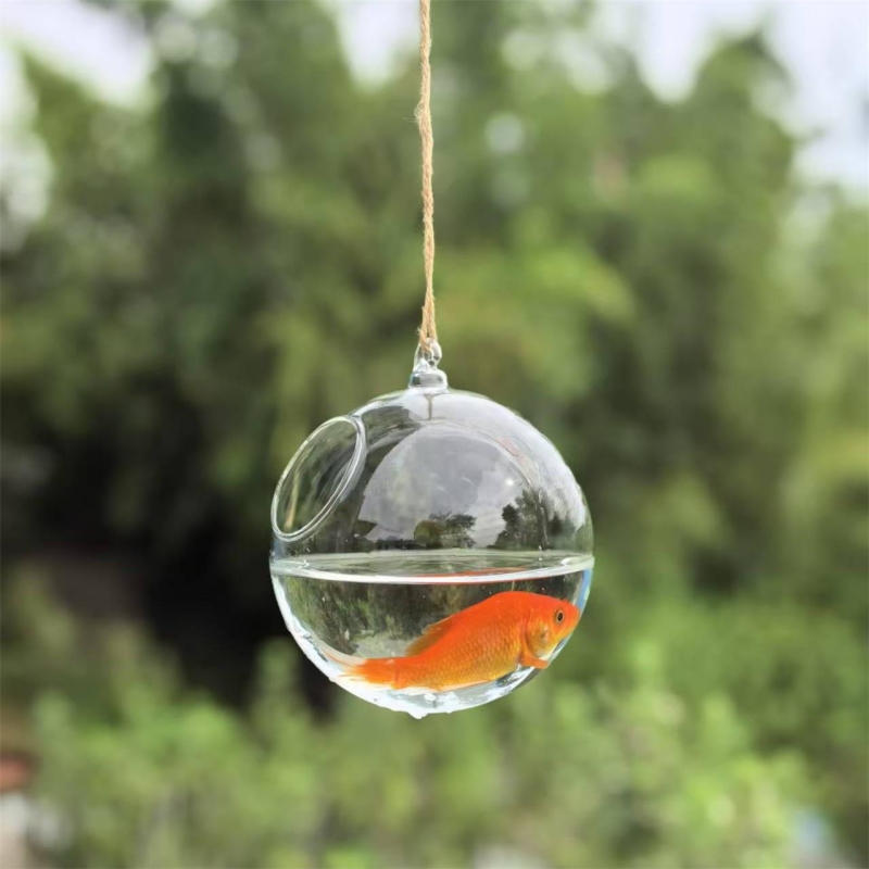 Kleiner Verpackungsdurchmesser – Aquarium Bewertung und Preis