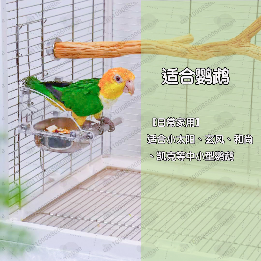 Futterbox für Papageien aus Ed – Pet Feeders Bewertung und Preis