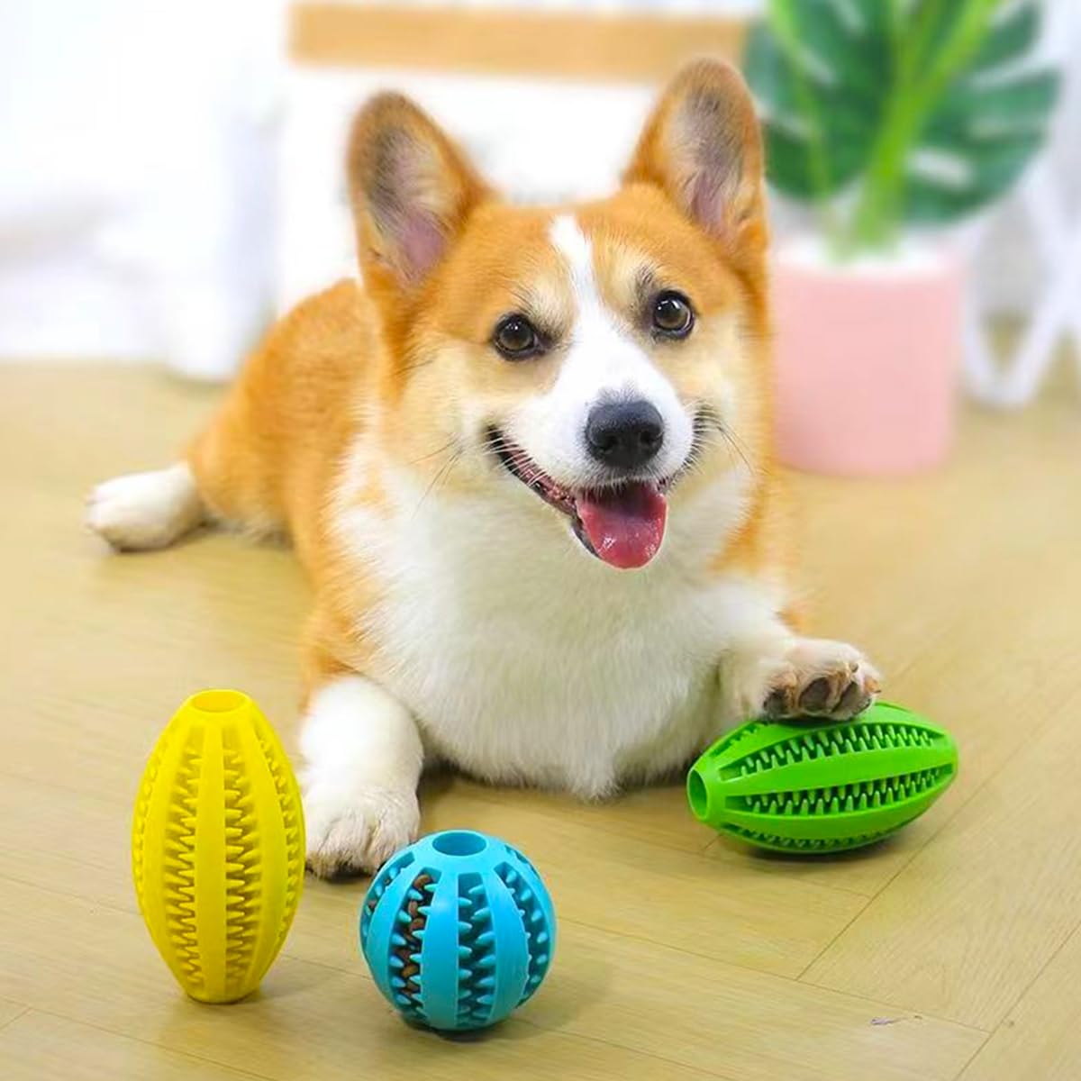 Haustier Hund Kauen Spielzeug  – Indestructible Dog Chew Toy Bewertung und Preis