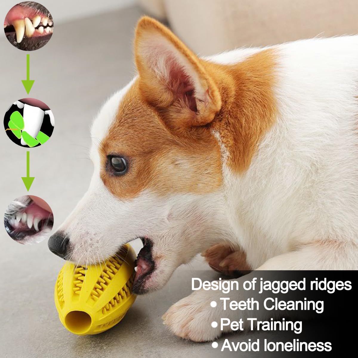 Haustier Hund Kauen Spielzeug  – Indestructible Dog Chew Toy Bewertung und Preis