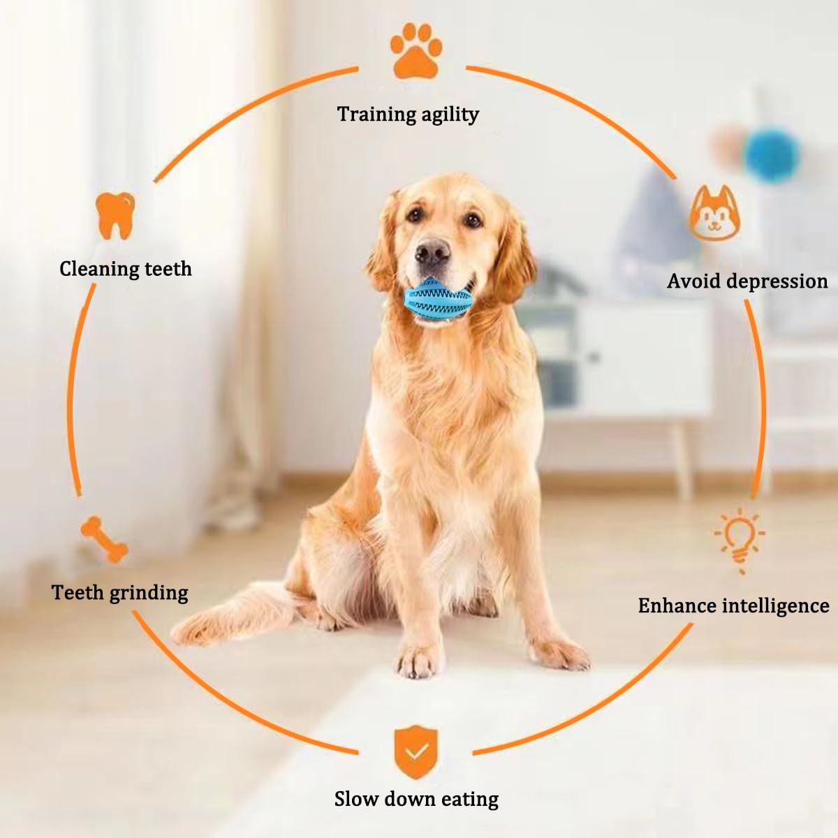 Haustier Hund Kauen Spielzeug  – Indestructible Dog Chew Toy Bewertung und Preis