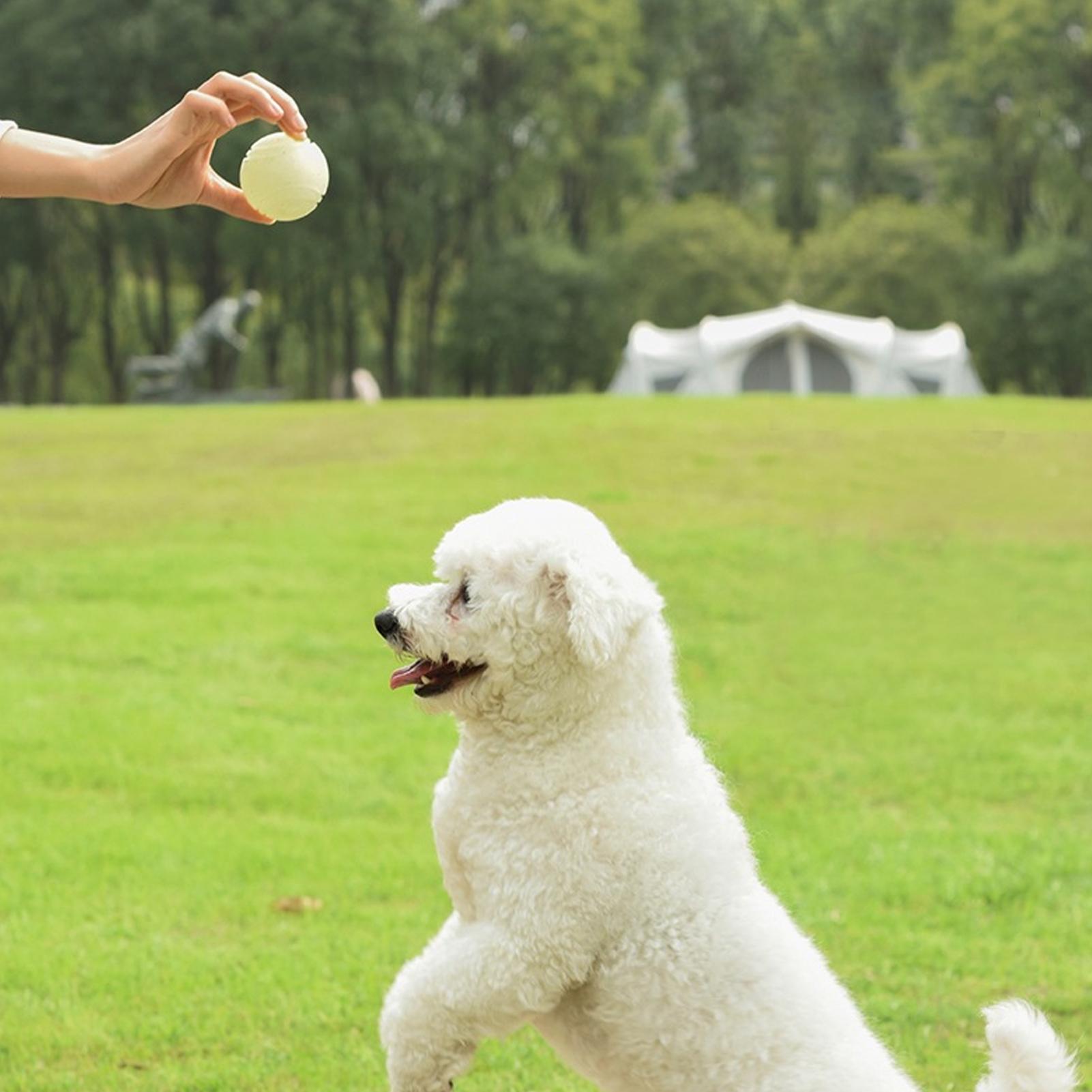 Hunde-Spielzeugbälle, im Dunke – Dog Rope Toy Aggressive Chewers Bewertung und Preis