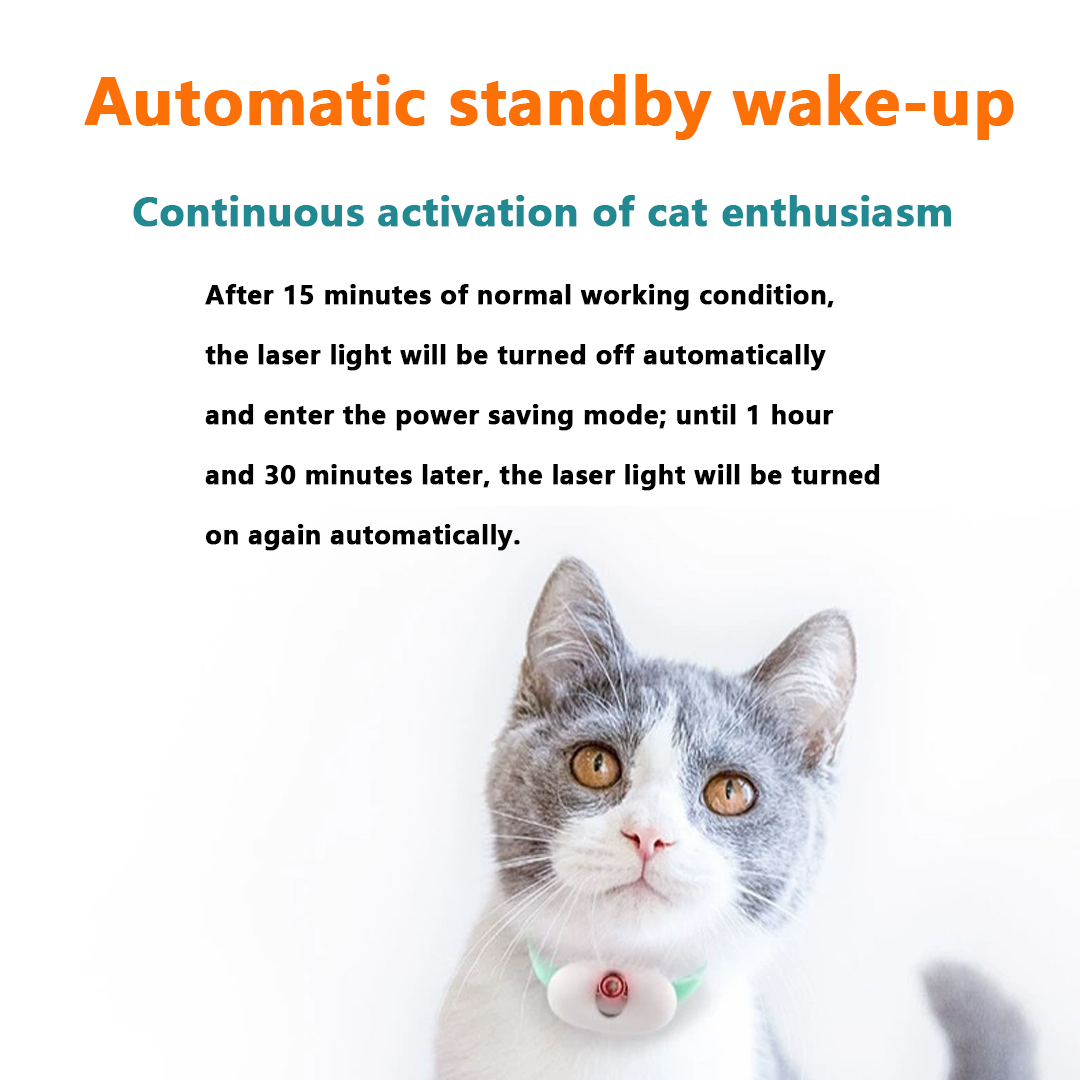 Laserpointerhalsband für Katze – Laser Pointer Cat Toy Automatic Bewertung und Preis