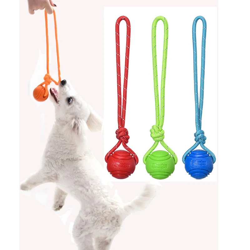 Hunde training Ball auf Seil B – Suction Cup Dog Tug Toy Bewertung und Preis