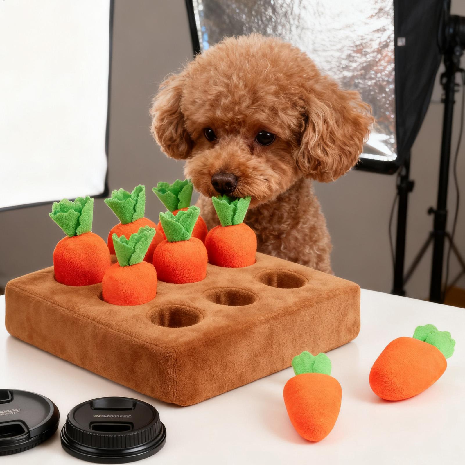 Interaktives Karotten-Spielzeu – Snuffle Mat For Dogs Bewertung und Preis