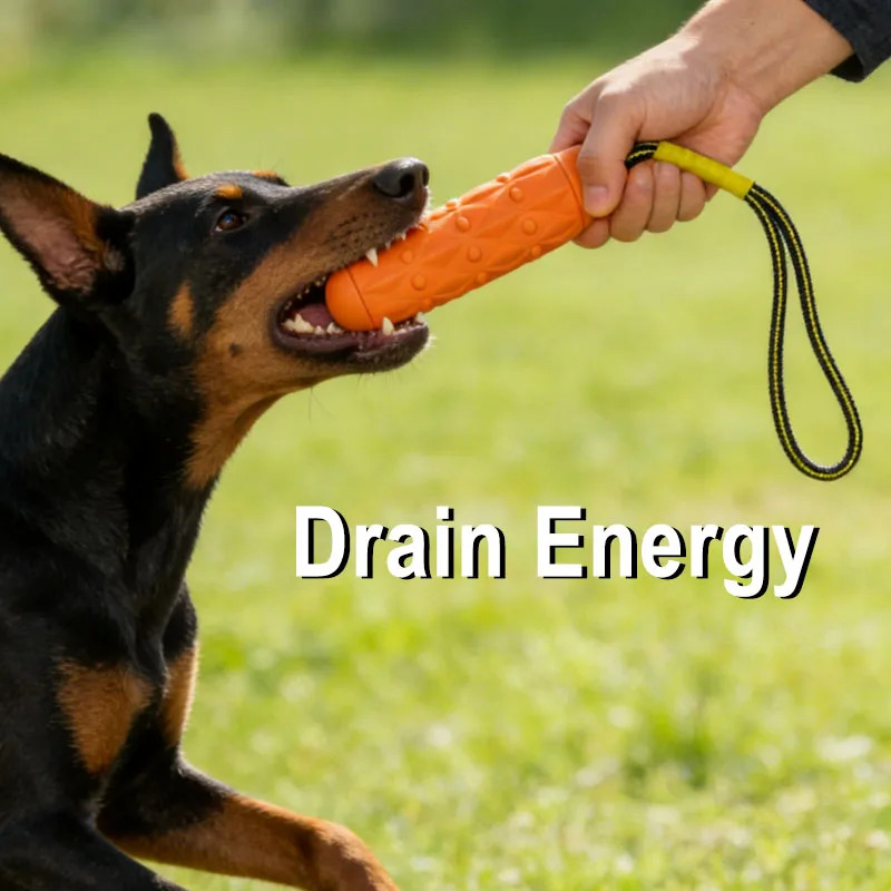 Unzerstörbares Hundekau-Spielz – Dog Rope Toy Aggressive Chewers Bewertung und Preis
