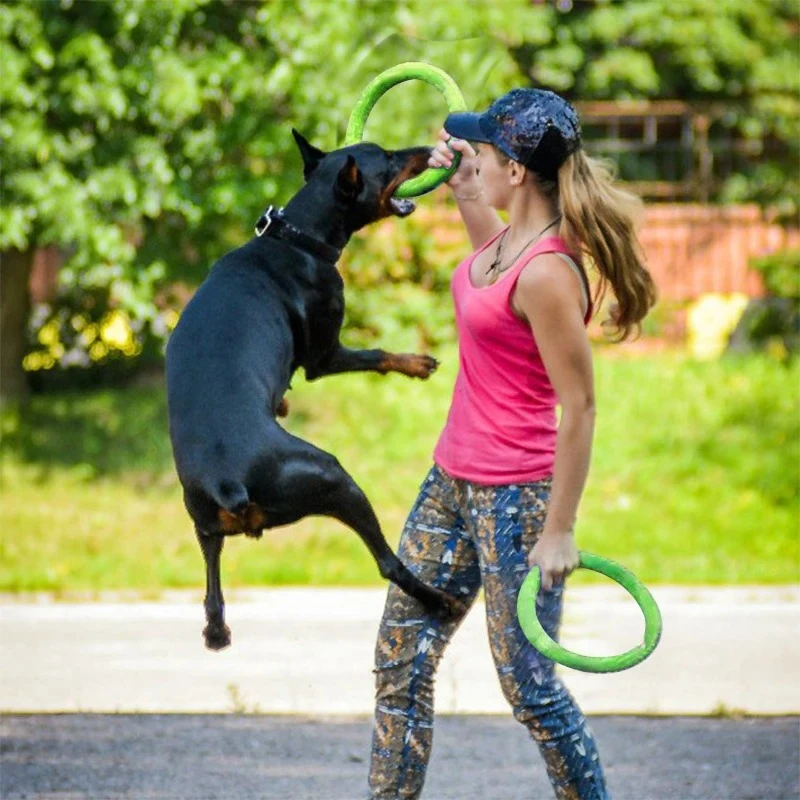 Hundes pielzeug Haustier Flugs – Suction Cup Dog Tug Toy Bewertung und Preis