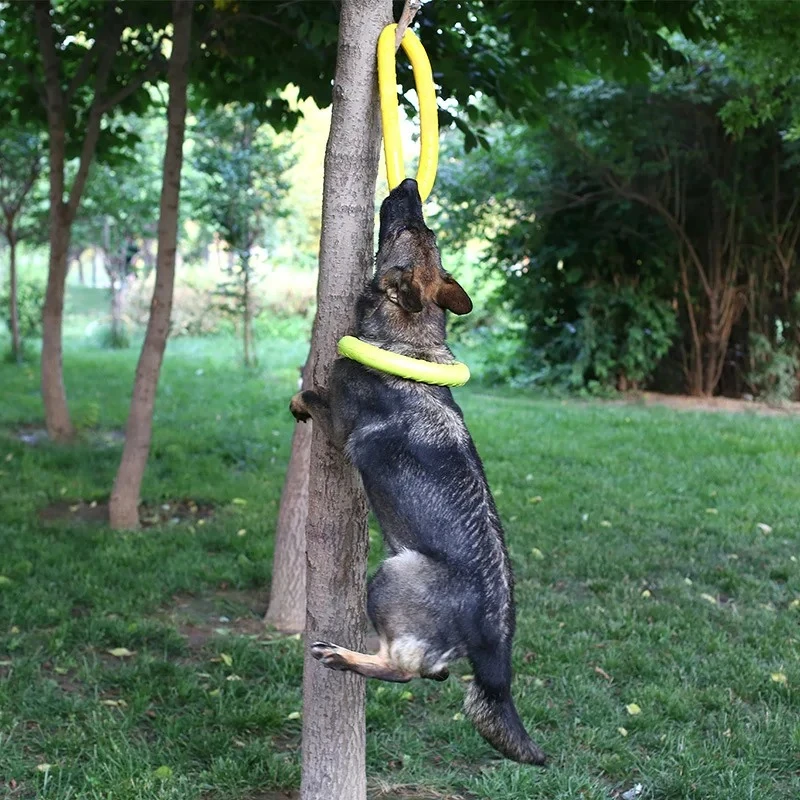 Hundes pielzeug Haustier Flugs – Suction Cup Dog Tug Toy Bewertung und Preis