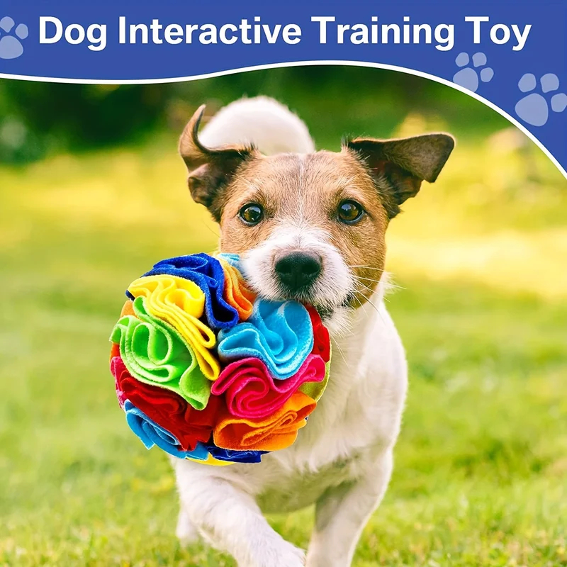 Interaktives Hundespielzeug Sc – Snuffle Mat For Dogs Bewertung und Preis