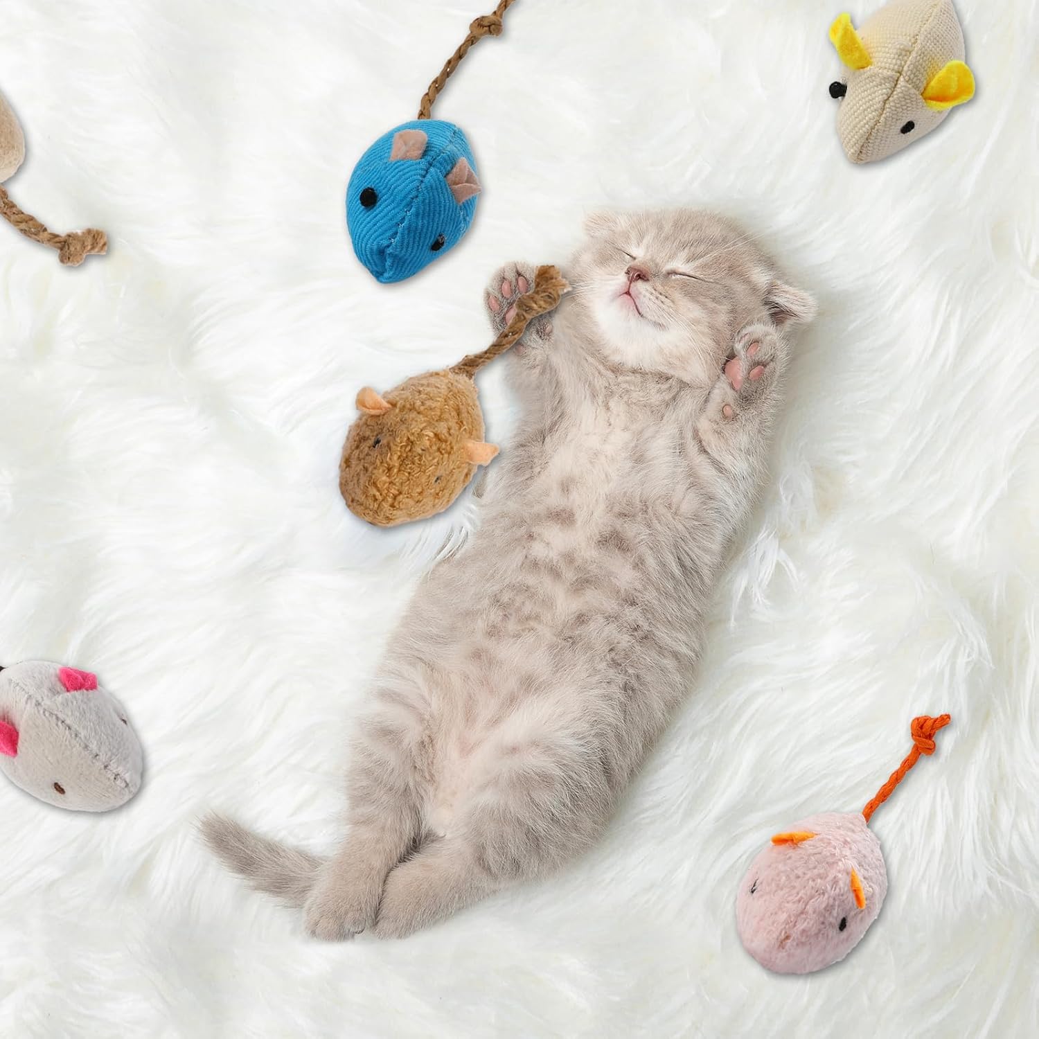 8 Zufällig verpackte interakti – Catnip Interactive Plush Mouse Bewertung und Preis