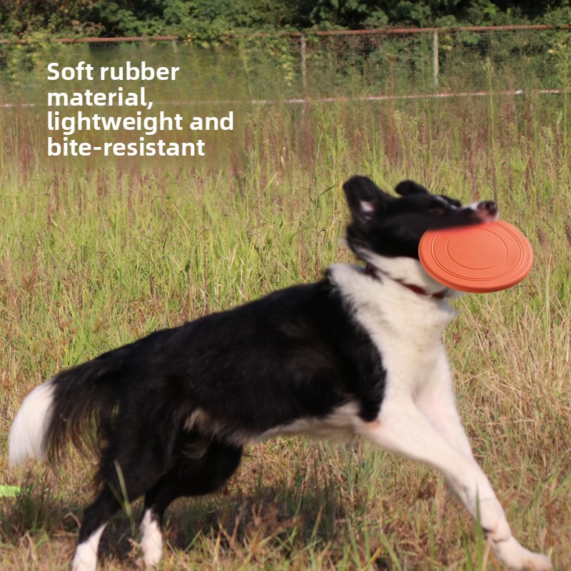 Bissfeste Schwimmende Weiche H – Flying Disc Dog Training Toy Bewertung und Preis