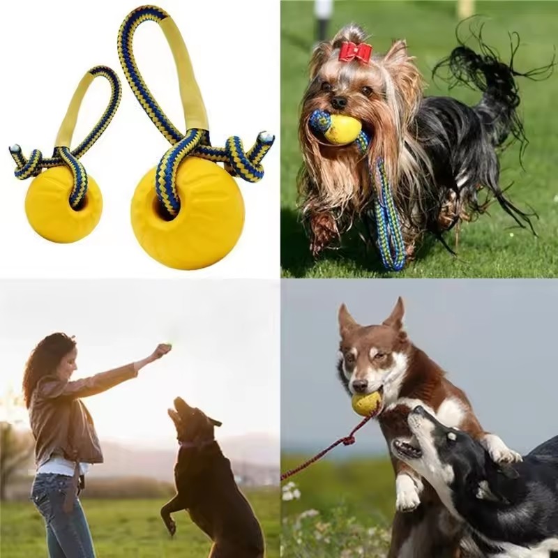 1 Stück Unzerstörbares Beißspi – Indestructible Dog Chew Toy Bewertung und Preis