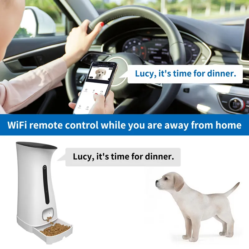 WLAN-Haustierfütterungskamera  – Pet Feeders Bewertung und Preis