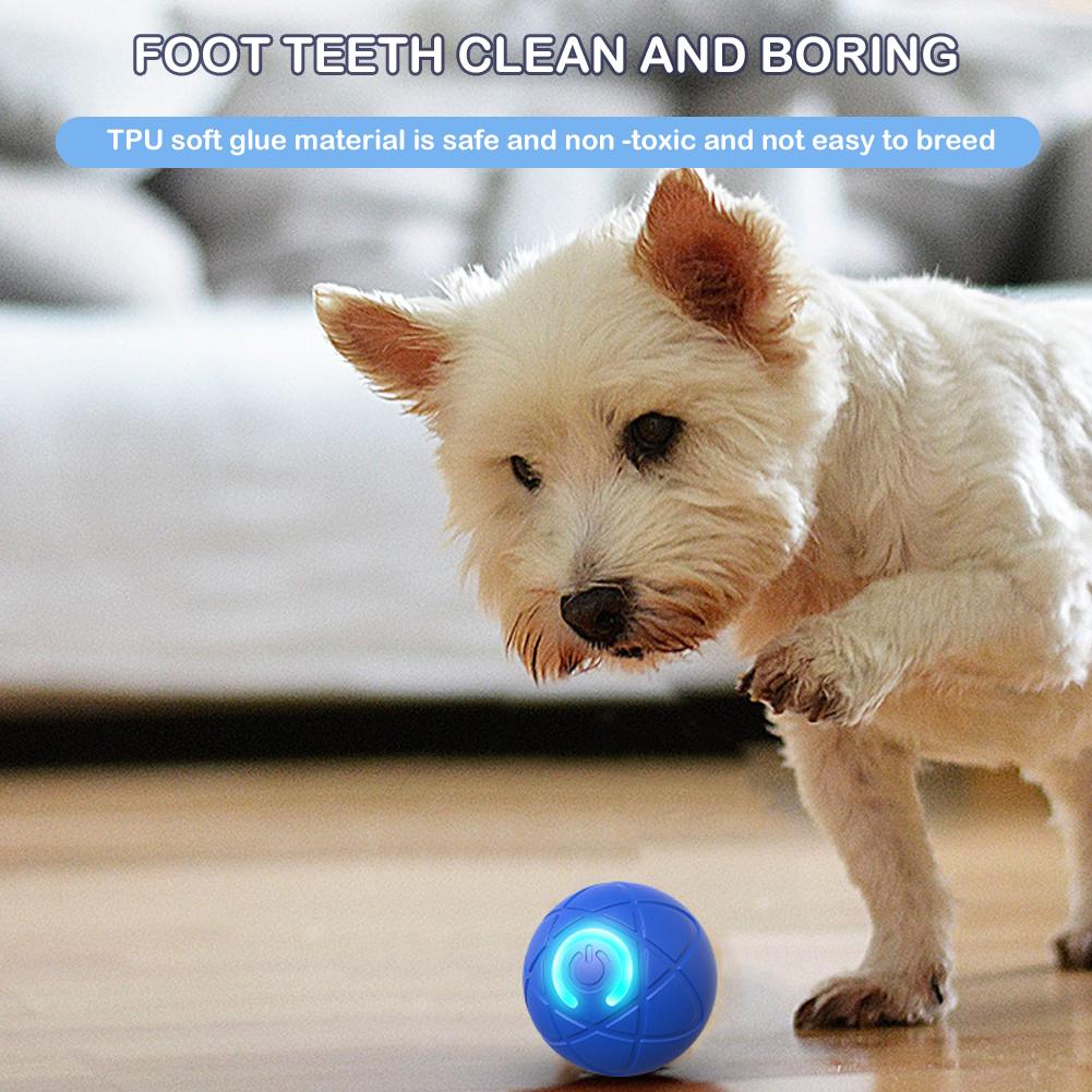 Elektronisches interaktives Ha – Automatic Moving Dog Ball Bewertung und Preis