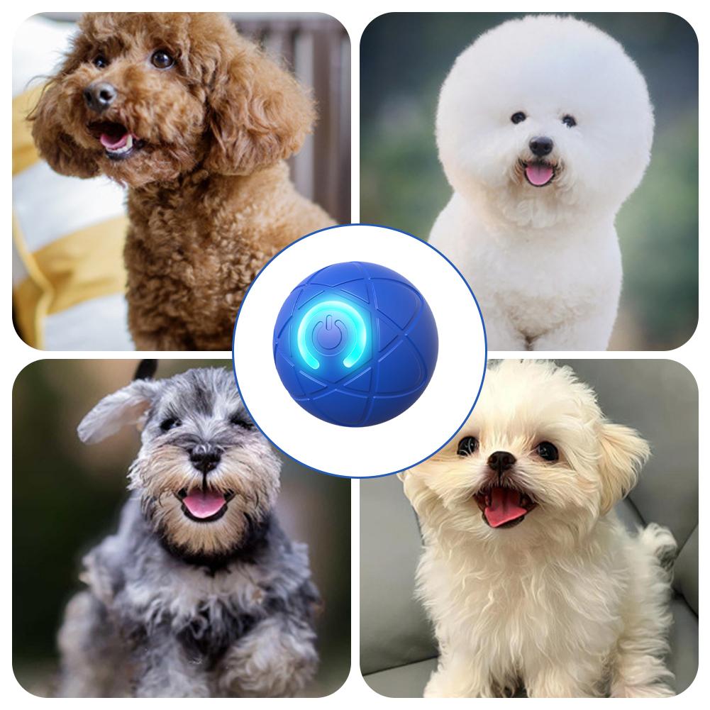 Elektronisches interaktives Ha – Automatic Moving Dog Ball Bewertung und Preis