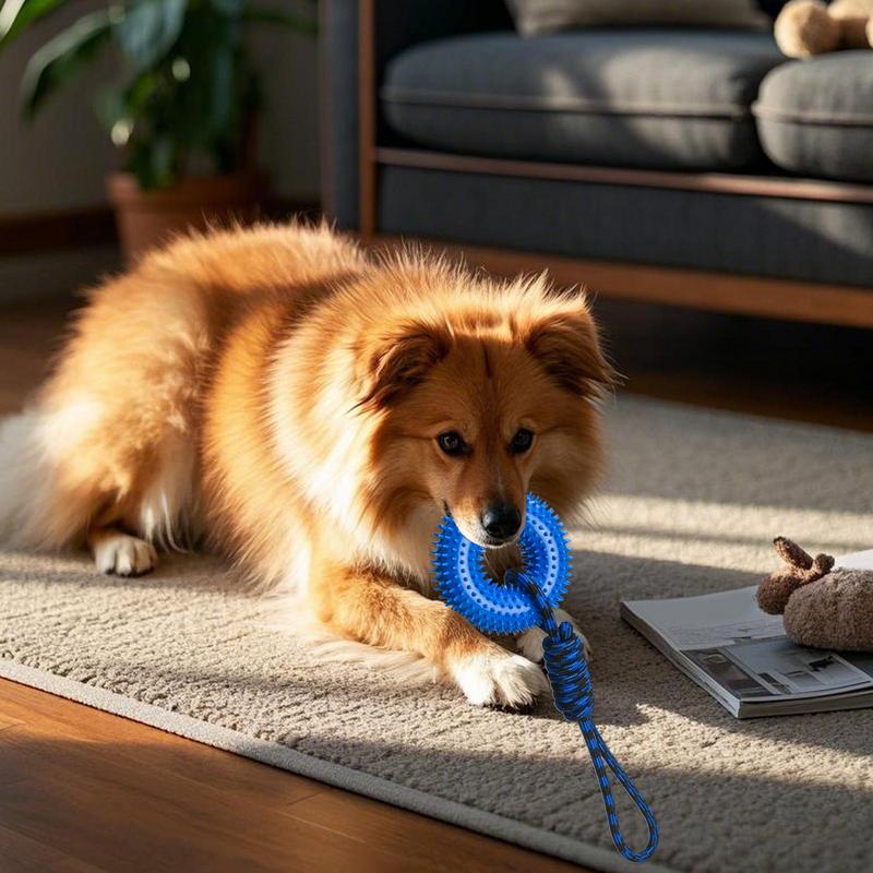 Quietschendes Spielzeug für Hu – Dog Rope Toy Aggressive Chewers Bewertung und Preis