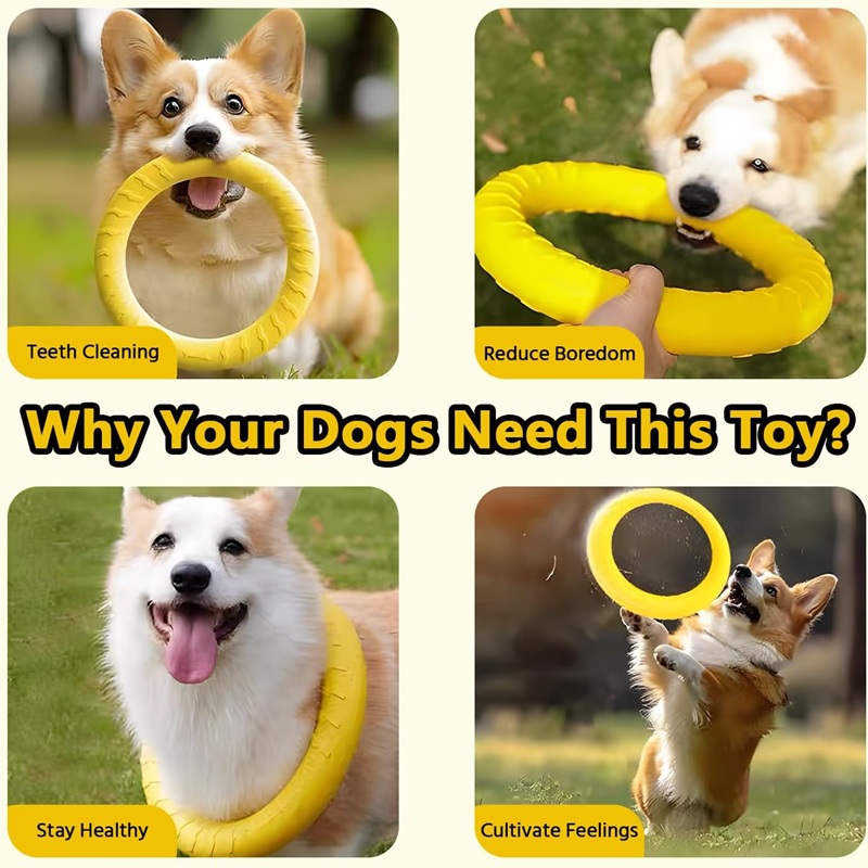 Hundespielzeug, Fliegende Sche – Suction Cup Dog Tug Toy Bewertung und Preis