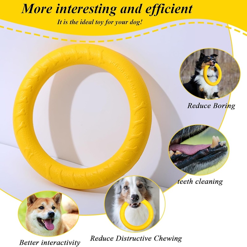 Hundespielzeug, Fliegende Sche – Suction Cup Dog Tug Toy Bewertung und Preis