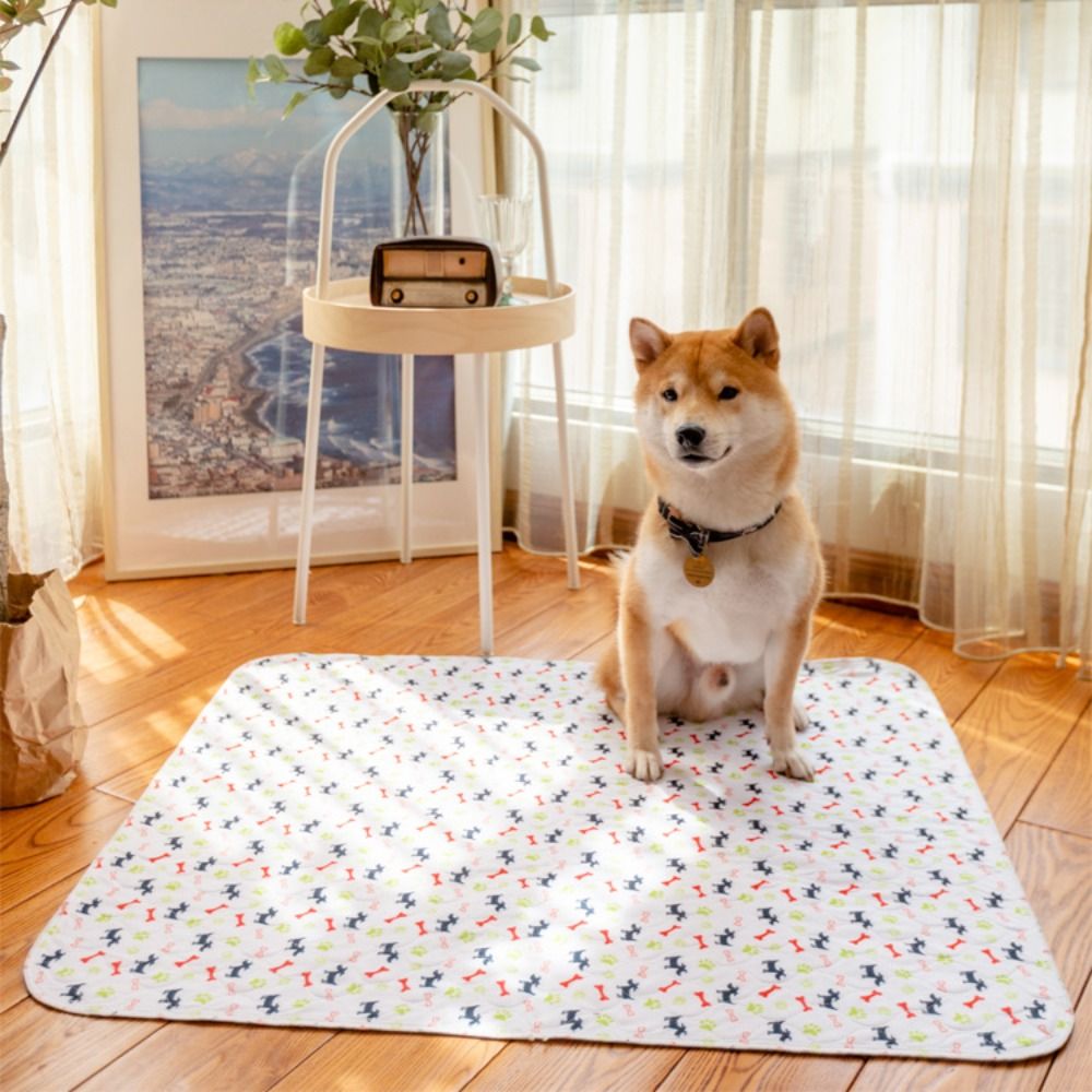 Langlebige, Superabsorbierende – Pet Beds Bewertung und Preis