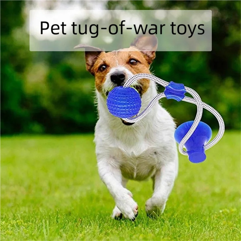 Langlebiges Saugnapf-Hundespie – Suction Cup Dog Tug Toy Bewertung und Preis
