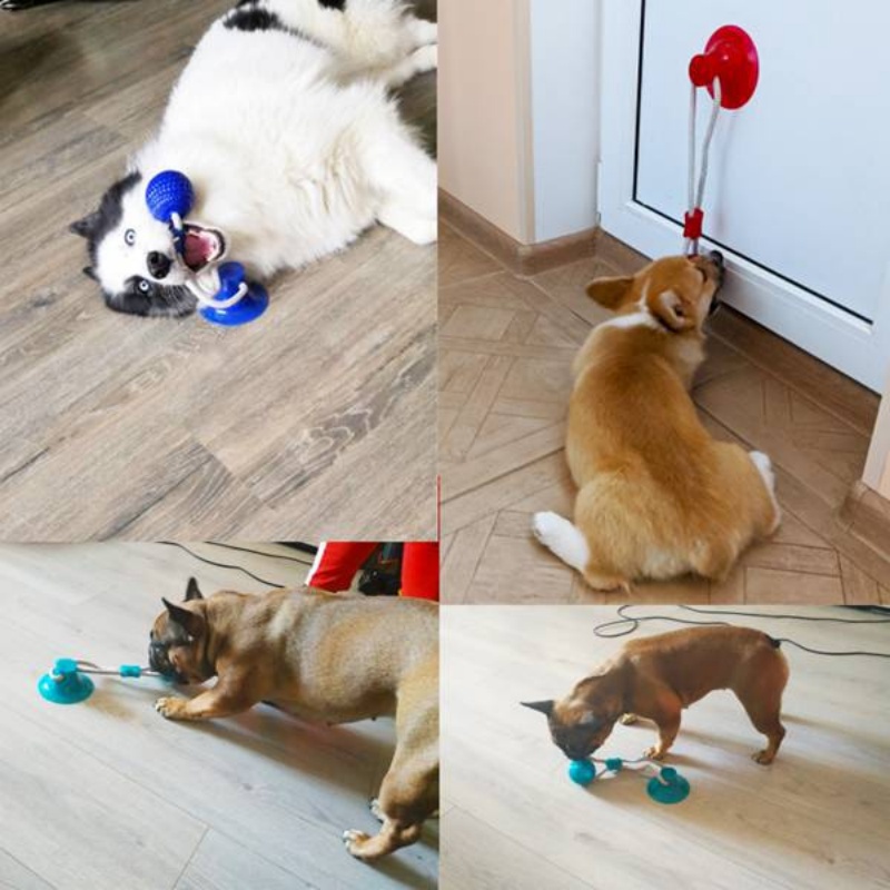 Langlebiges Saugnapf-Hundespie – Suction Cup Dog Tug Toy Bewertung und Preis