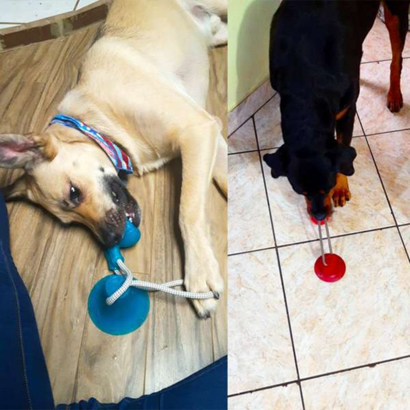 Langlebiges Saugnapf-Hundespie – Suction Cup Dog Tug Toy Bewertung und Preis