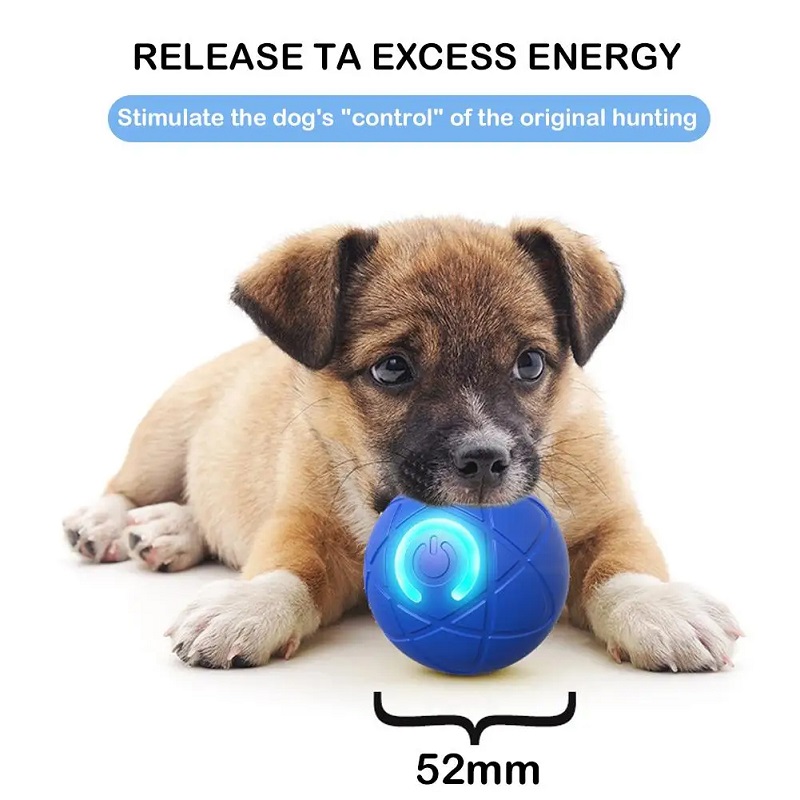 Hundespielzeugball, interaktiv – Suction Cup Dog Tug Toy Bewertung und Preis