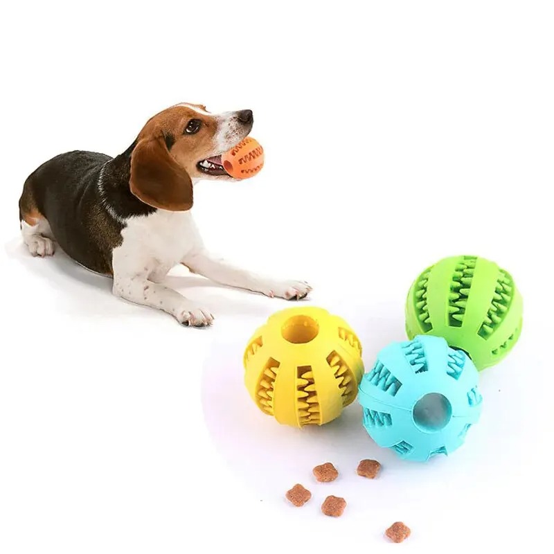 1 Stück Hunde-Leckerli-Ball In – Rubber Treat Dispensing Dog Toy Bewertung und Preis