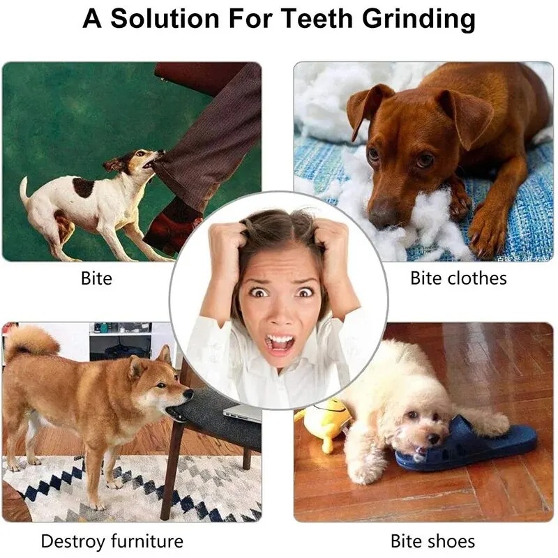 1 Stück Hunde-Leckerli-Ball In – Rubber Treat Dispensing Dog Toy Bewertung und Preis