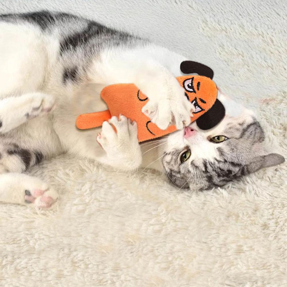 Cartoon Ausdruck Katze Spielze – Catnip Interactive Plush Mouse Bewertung und Preis