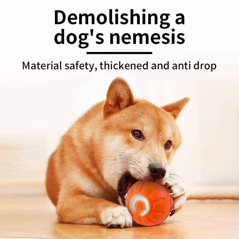 Intelligenter Hundespielball E – Automatic Moving Dog Ball Bewertung und Preis