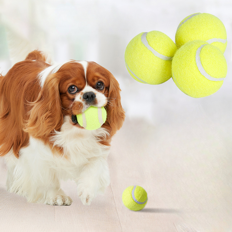 Interaktives Gestreiftes Gummi – Interactive Squeaky Plush Dog Toy Bewertung und Preis