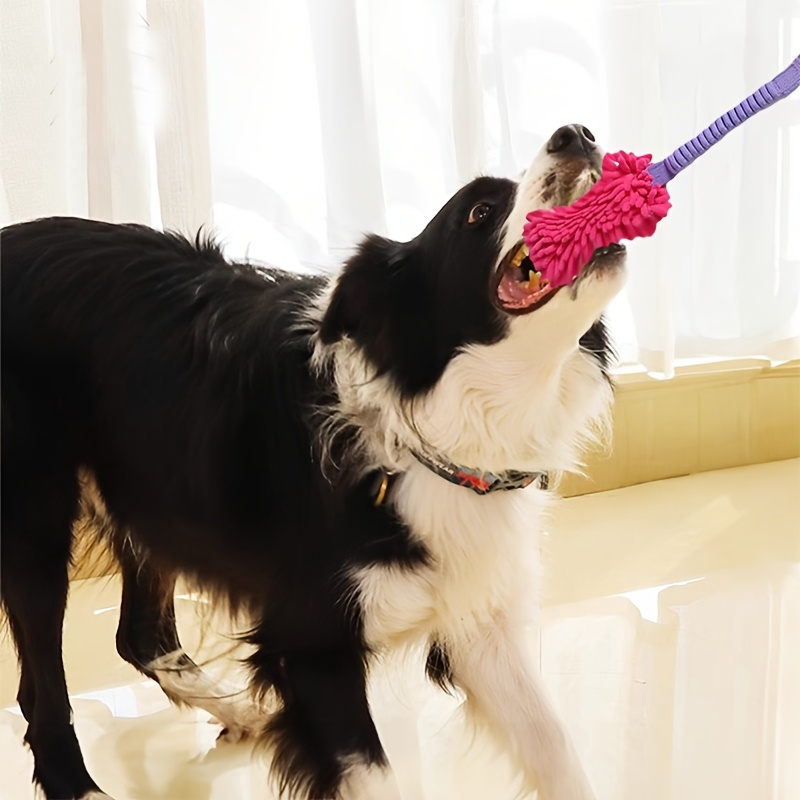 Langlebiges Hundespielzeug für – Suction Cup Dog Tug Toy Bewertung und Preis