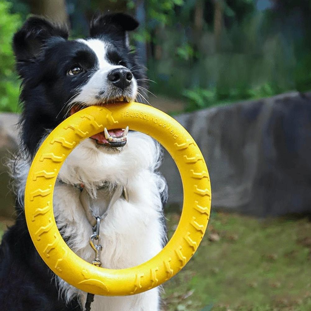 Hunde-Ringspielzeug, unzerstör – Indestructible Dog Chew Toy Bewertung und Preis