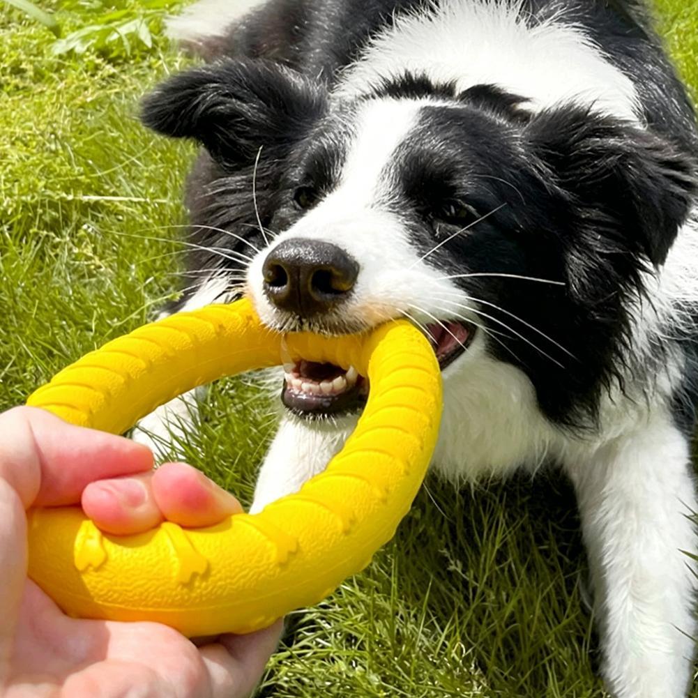 Hunde-Ringspielzeug, unzerstör – Indestructible Dog Chew Toy Bewertung und Preis