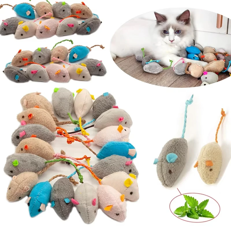 5 Stück Rassel-Katzenmaus-Spie – Catnip Interactive Plush Mouse Bewertung und Preis