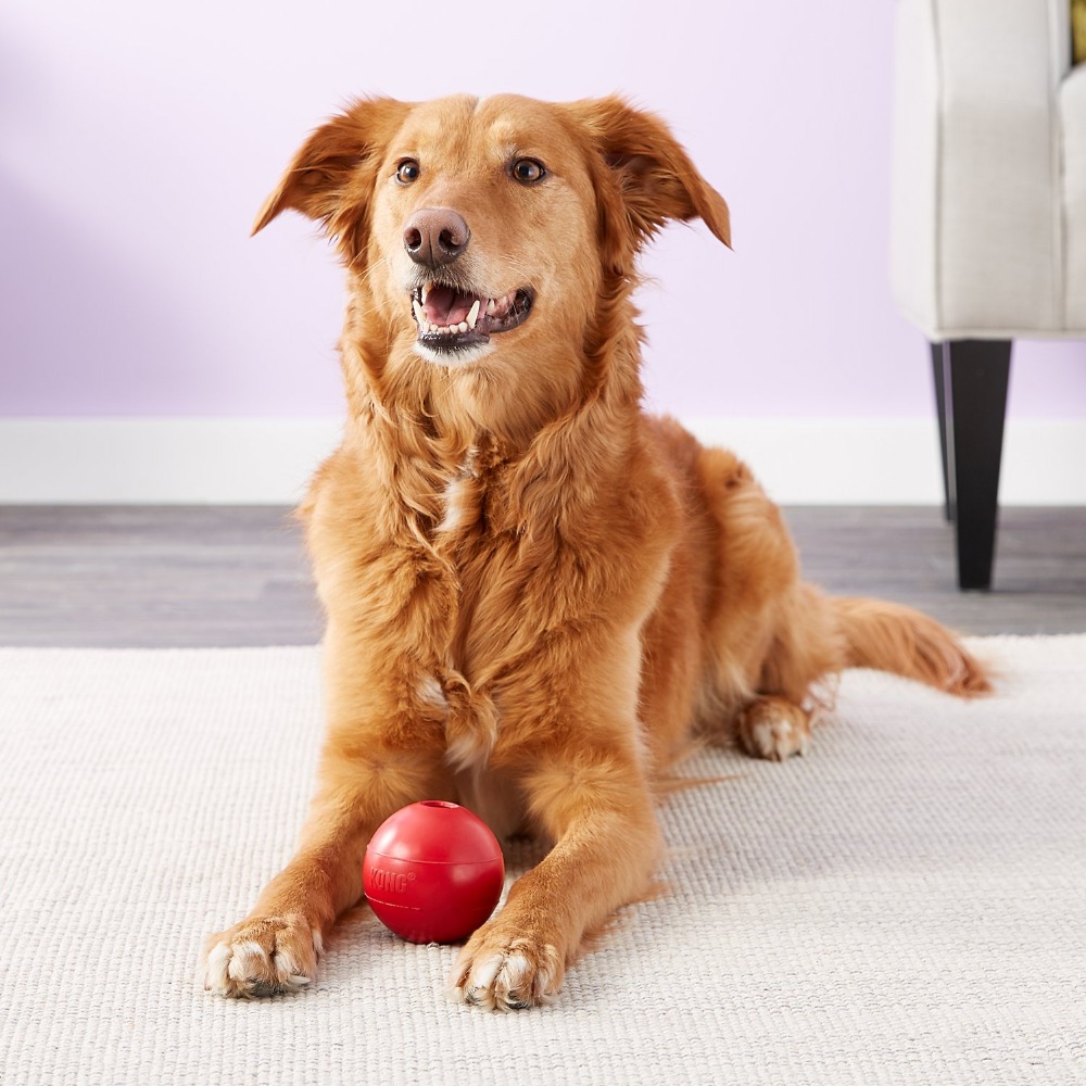KONG Ball Hundespielzeug M/L – Indestructible Dog Chew Toy Bewertung und Preis