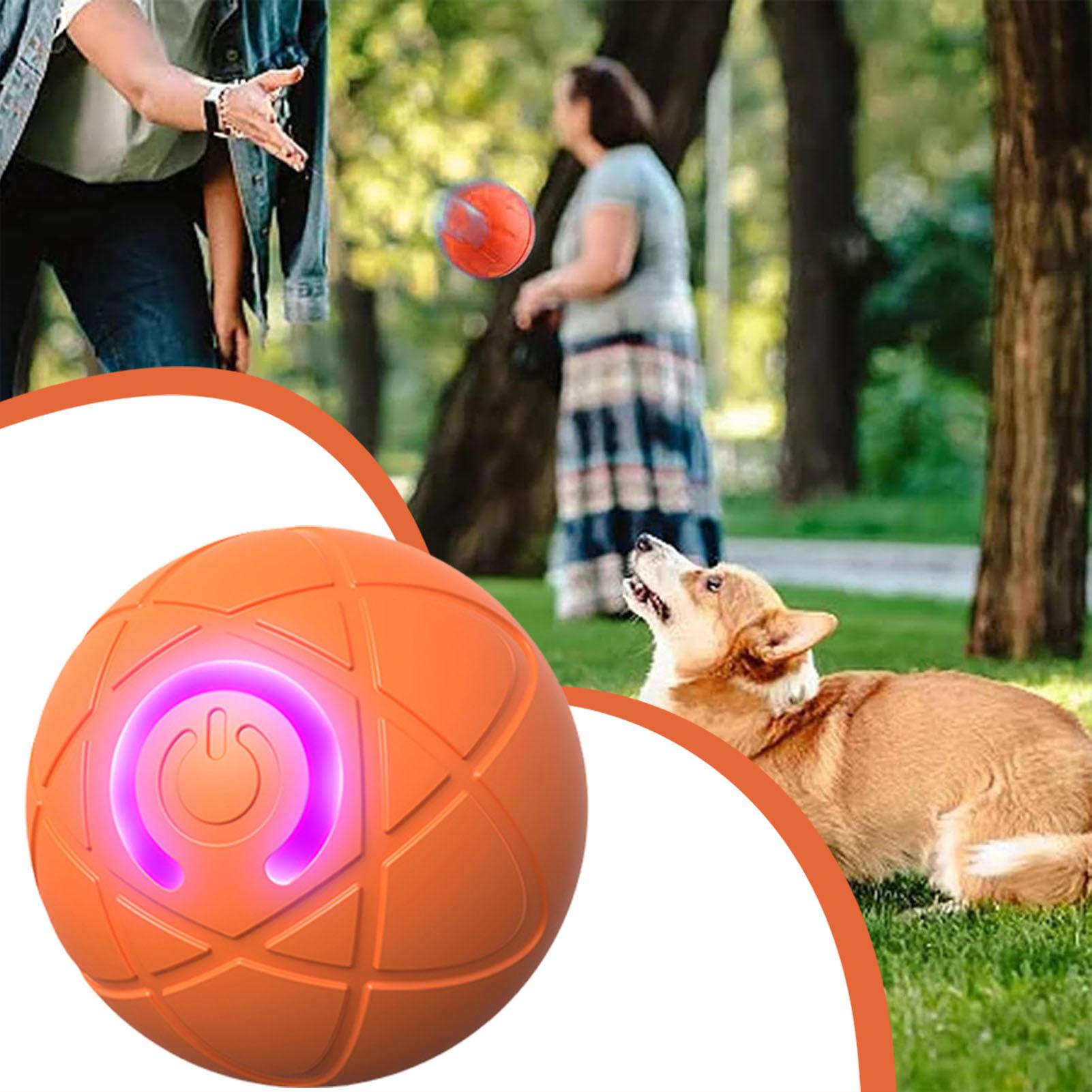 Hundespielzeugball, interaktiv – Automatic Moving Dog Ball Bewertung und Preis