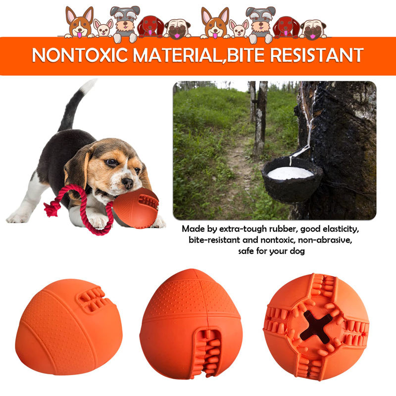 Benepaw interaktives Hundes pi – Rubber Treat Dispensing Dog Toy Bewertung und Preis