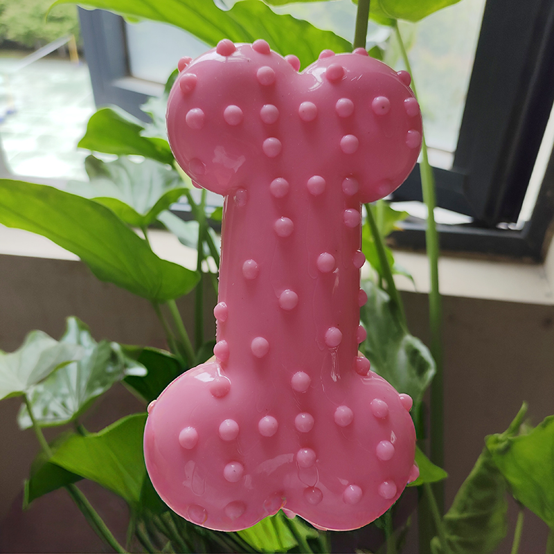 Hundespielzeug, Gummi, Geräusc – Teeth Cleaning Dog Chew Bone Bewertung und Preis