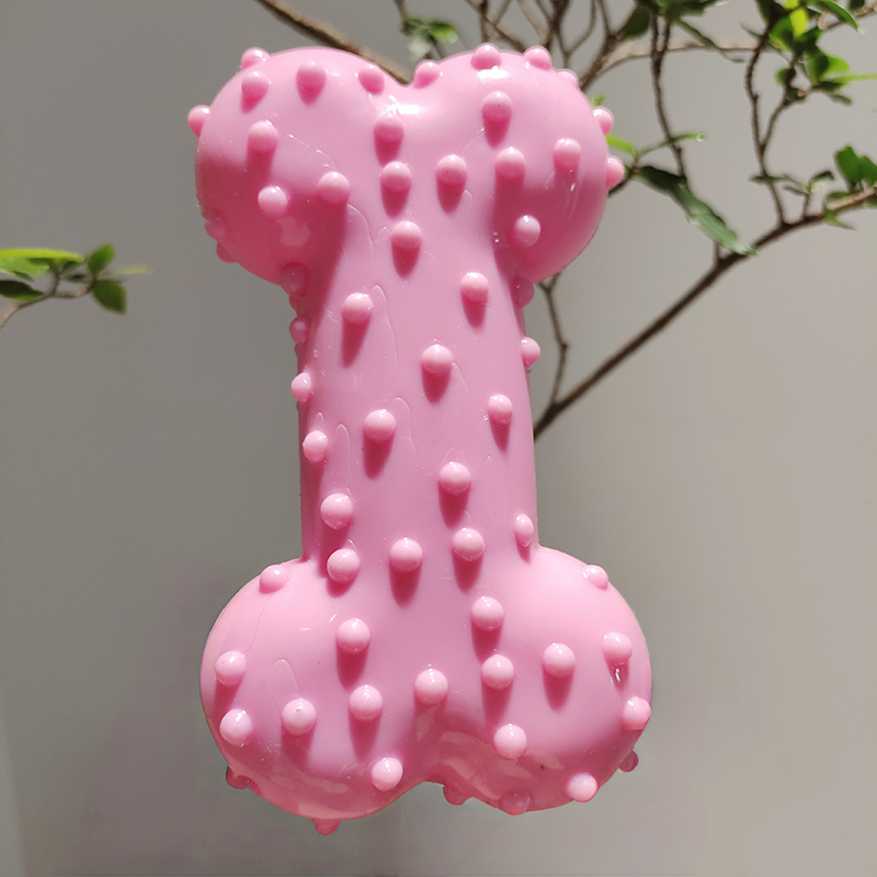 Hundespielzeug, Gummi, Geräusc – Teeth Cleaning Dog Chew Bone Bewertung und Preis