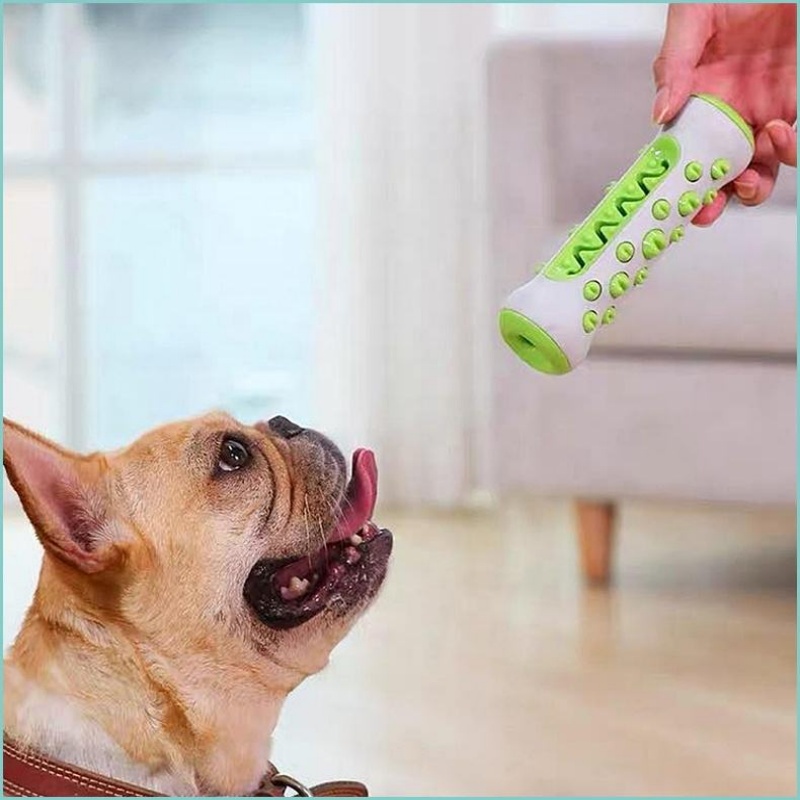 TPR-Hundekauknochen, langlebig – Teeth Cleaning Dog Chew Bone Bewertung und Preis