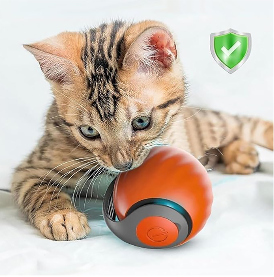 Interaktiver Katzenspielball,  – Automatic Moving Dog Ball Bewertung und Preis