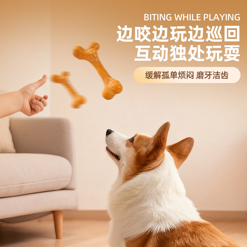 Hundespielzeug TPR Langlebiges – Teeth Cleaning Dog Chew Bone Bewertung und Preis
